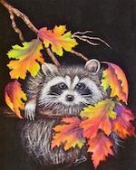 Raccoon and Fall Leaves