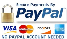 Secure Payment with PayPal